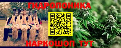 дживик Моздок