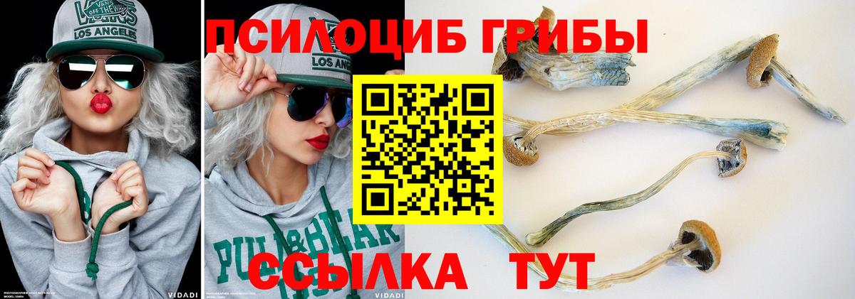 Галлюциногенные грибы MAGIC MUSHROOMS Щёлково